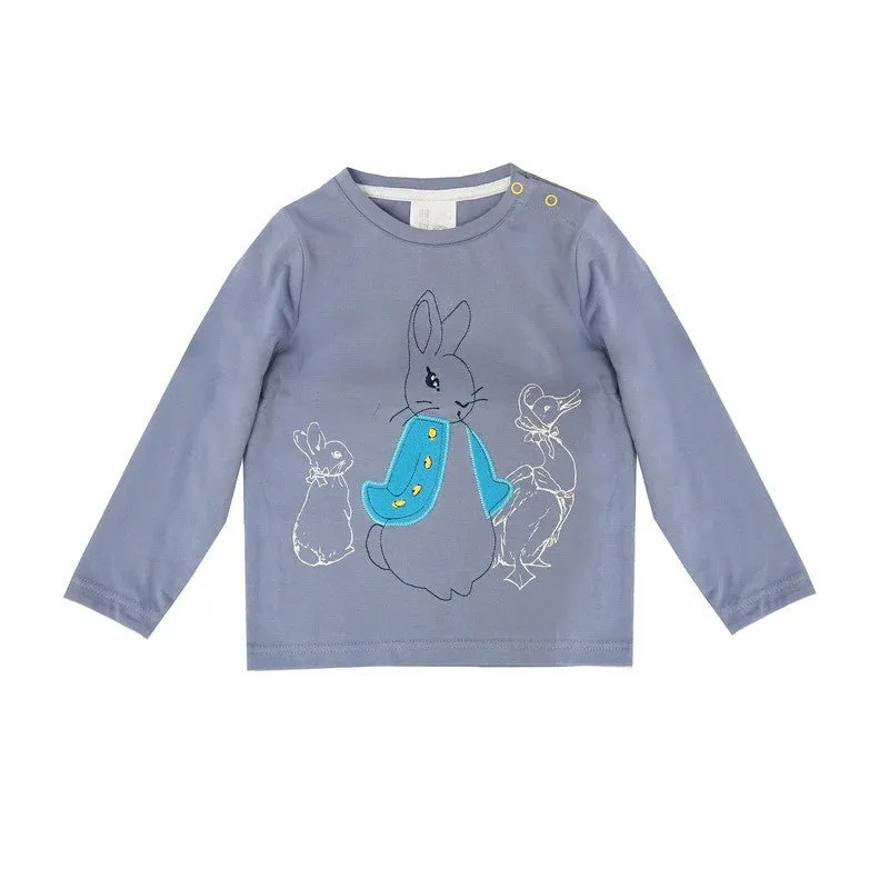 Baby Clothing Peter Rabbit 'Modern Mix' Top