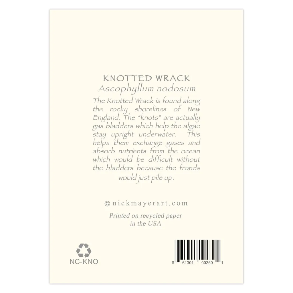 Knotted Wrack Notecards